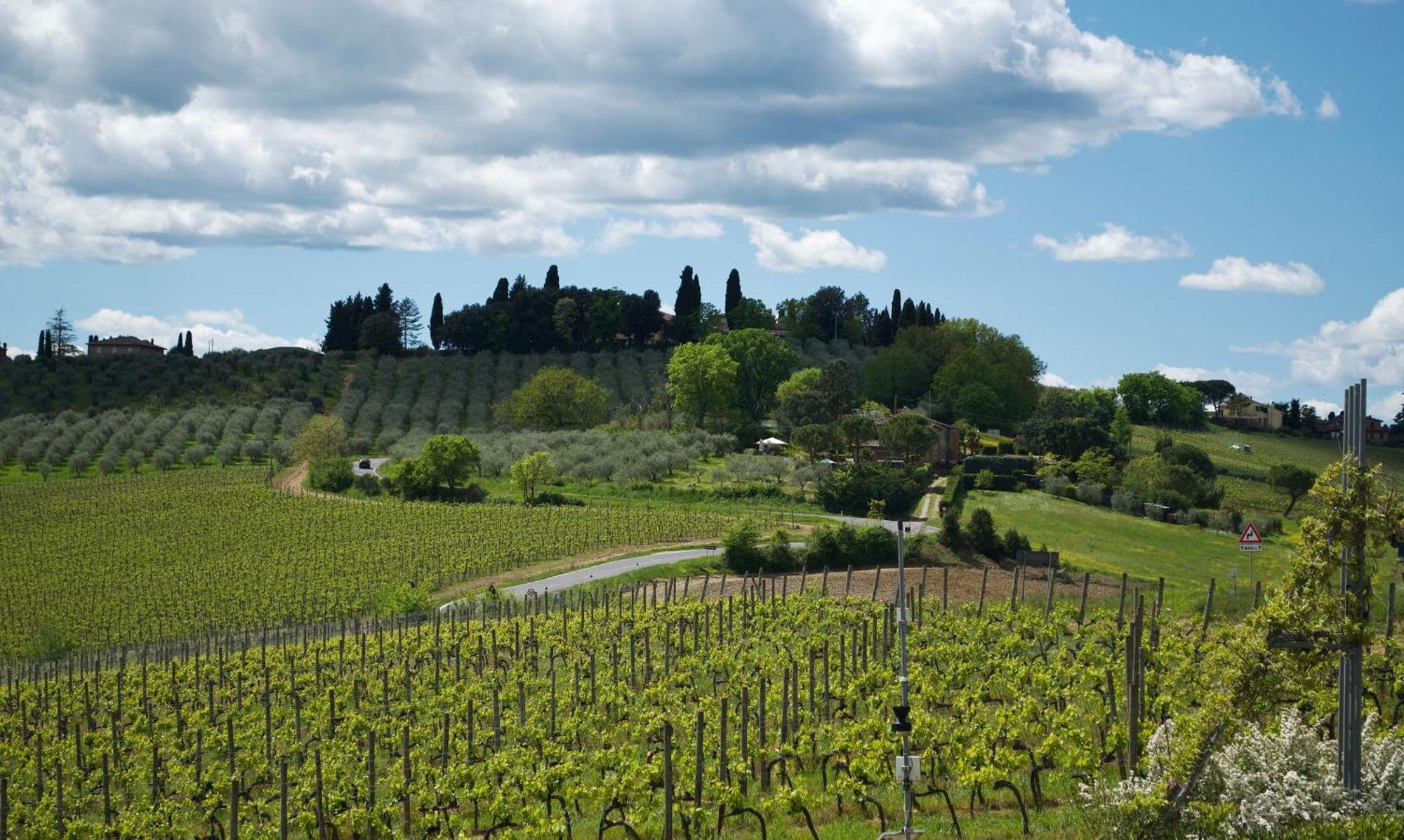 Villa Il Castagno Wine & Resort Siena Luaran gambar